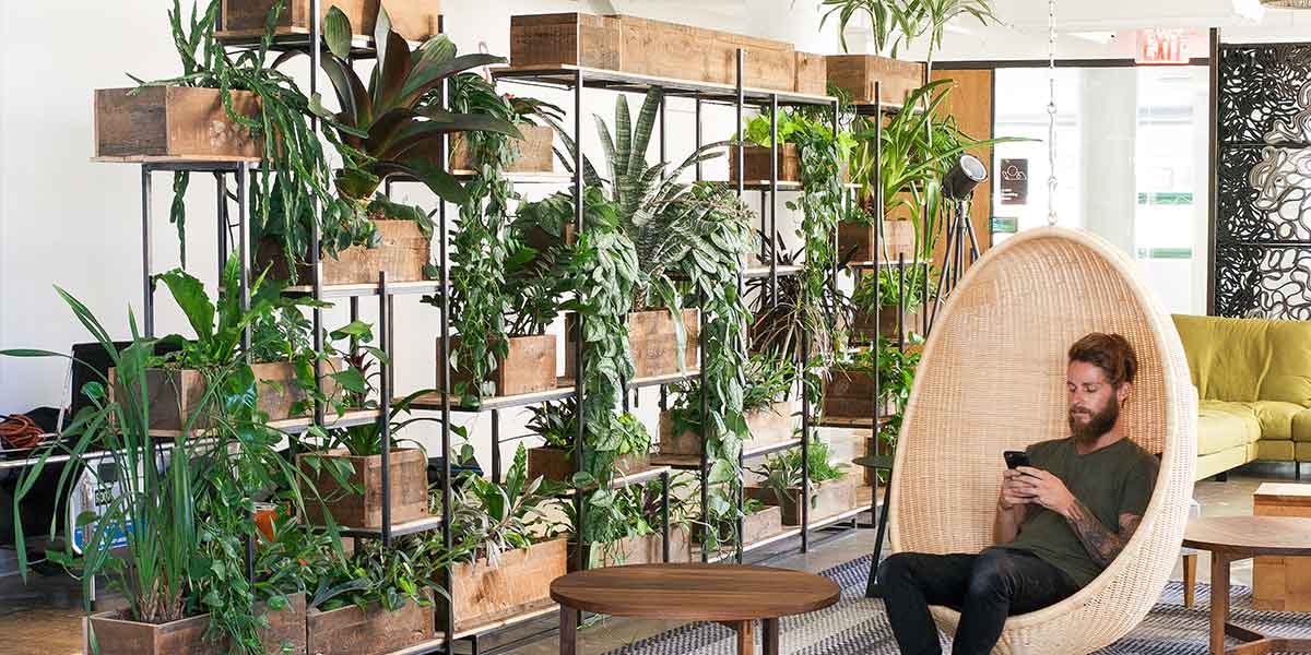 Jadikan koleksi tanaman anda sebagai room divider (Sumber: greenerynyc.com)