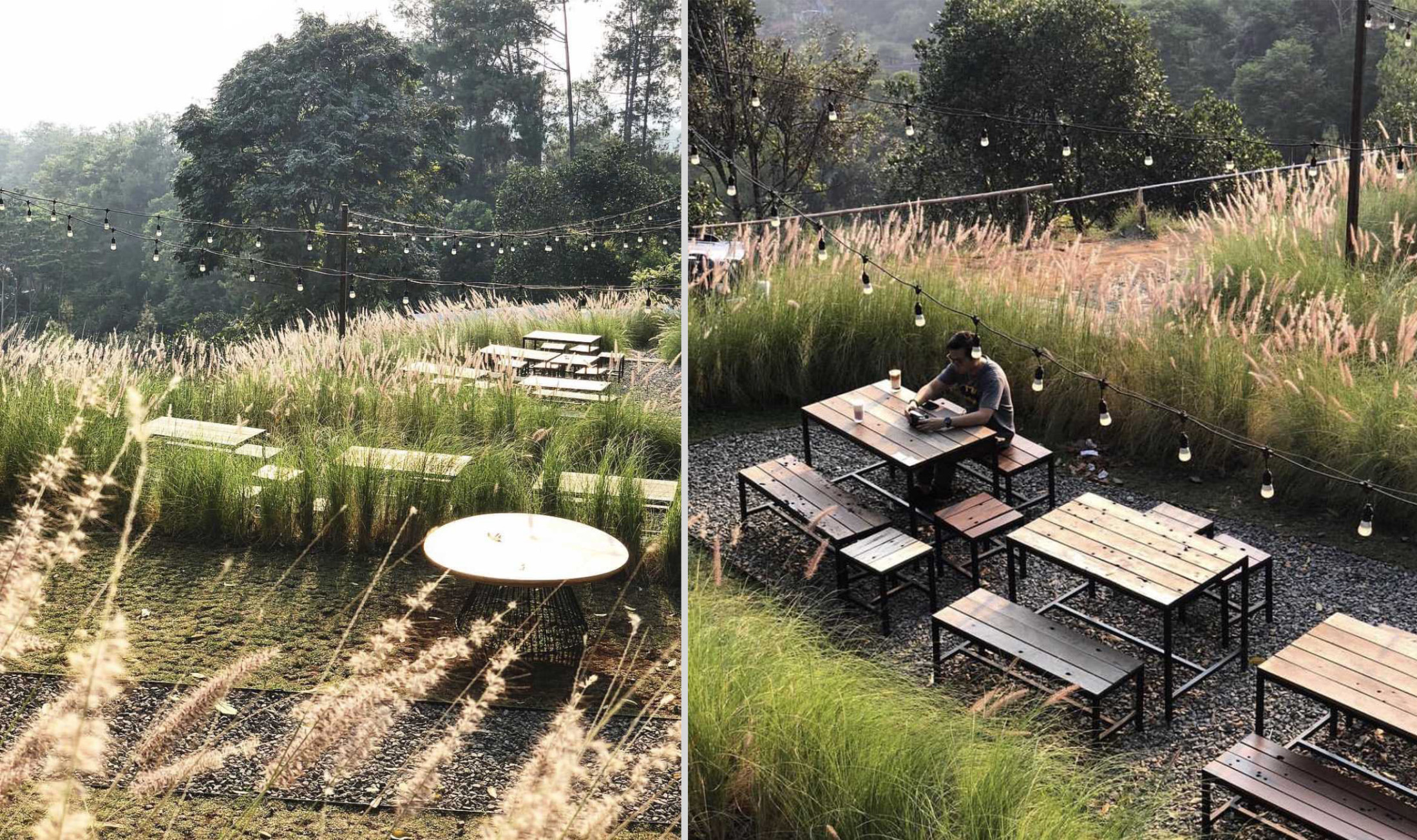 Kafe dengan keindahan ilalang, Utara Café Karya Wandi Uwa Krisdian (Sumber: arsitag.com)