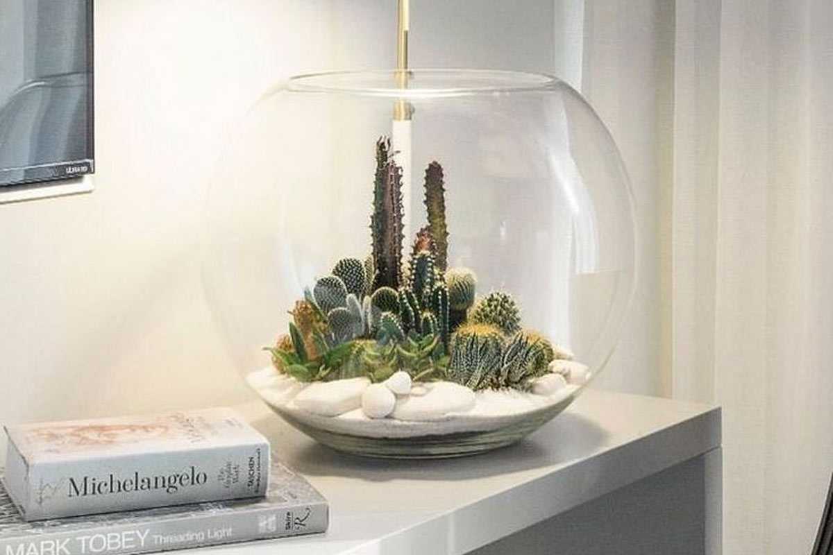 Dekorasi kaktus mungil karya Succulents Network // succulentsnetwork.com