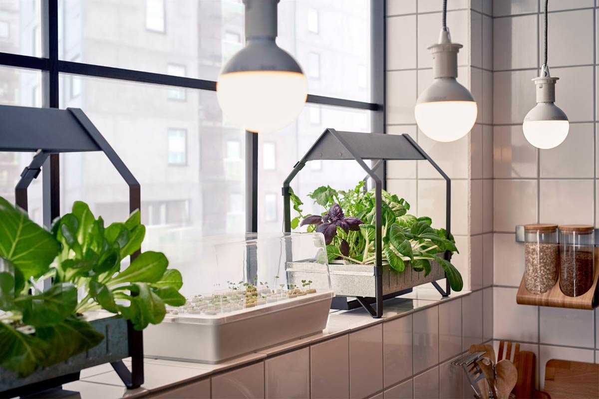 Wadah bercocok tanam berbentuk rumah mini karya Krydda/Xaver Series // dezeen.com