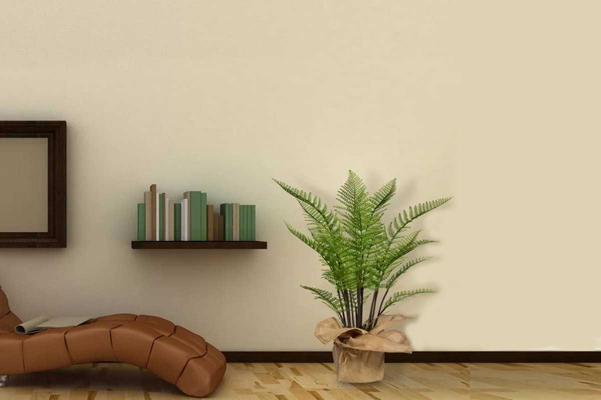 Dekorasi tanaman pakis batang karya Gracie Oaks // wayfair.com