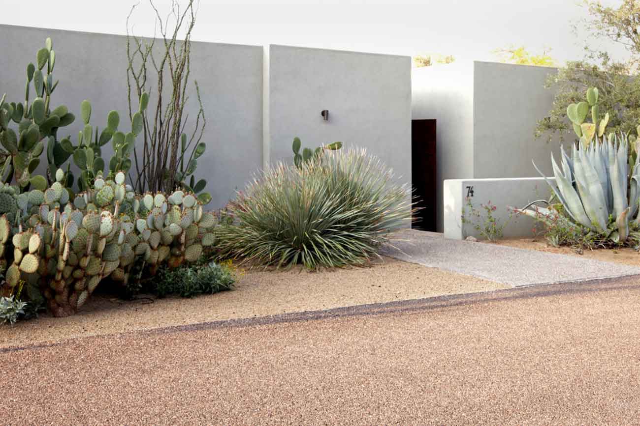 Taman kaktus karya Steve Martino // gardenista.com